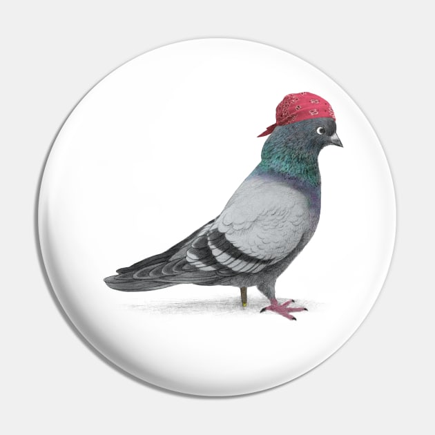 Pirate Pigeon Pin by Terry Fan