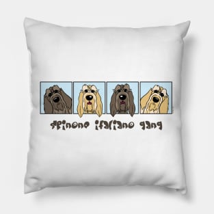 Spinone Italiano gear Pillow