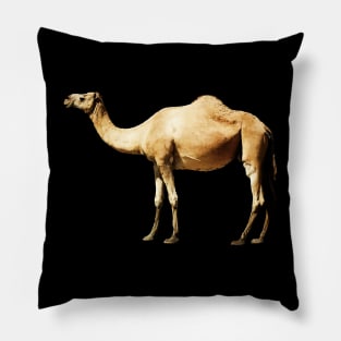 CAMEL Pillow