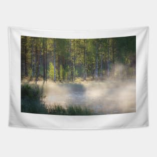 Small forest pond at sunrise Tapestry