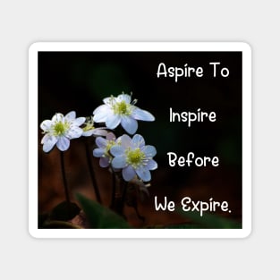 Aspire To Inspire Before We Expire. Wall Art Poster Mug Pin Phone Case Case Mask Sticker Magnet Tapestries Flower Art Motivational Quote Home Decor Totes Magnet