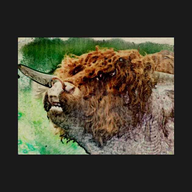 West Highland Bull 2 by bywhacky