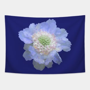 blue flower, flowers, blooms, petal, nature Tapestry