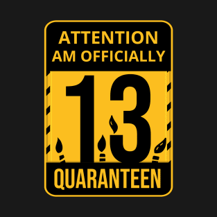 13th Birthday Officially a Quaranteen 13 Years Old T-Shirt