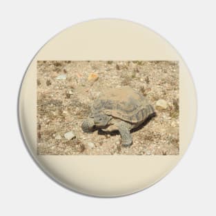 Desert Tortoise, Turtle, Reptiles, Wildlife, Reptilian, Gifts Pin