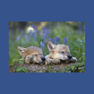 Wolf Cubs asleep on a Tree Stump in the Forest T-Shirt