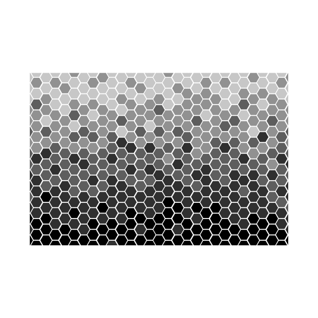 BW black and white geometric hexagon honeycomb pattern by LiquidLine