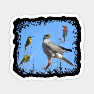 Birds in Africa Magnet