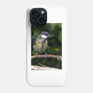 LE PANASONIC FZ 200 PAR OKAIO CRÉATION Phone Case