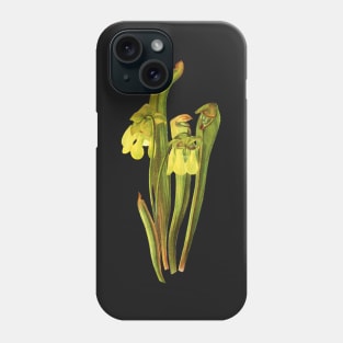 Hooded Pitcherplant - Sarracenia Minor- Walcott - Botanical Illustration Phone Case