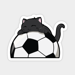 Cute Cat Hugging A Soccer Ball Magnet