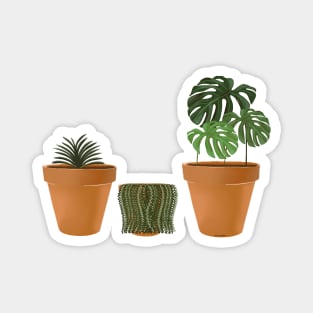 3 House Plants Magnet