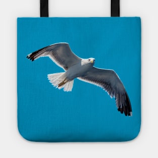 I am after your chips! Tote