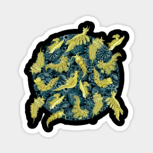 Ernst Haeckel Yellow Nudibranch on Cerulean Sea Squirts Magnet