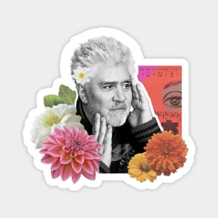 Pedro Almodovar Magnet