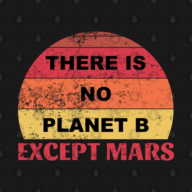 "There Is No Planet B Except Mars" by Decamega