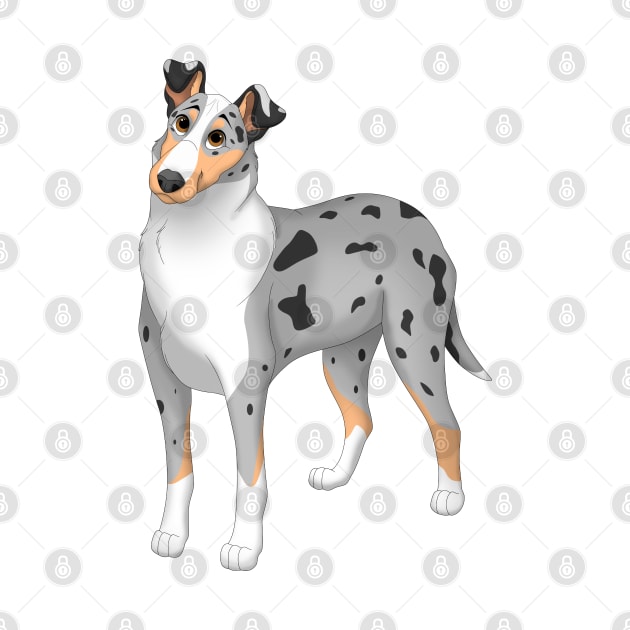 White, Blue Merle & Tan Smooth Collie Dog by millersye