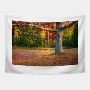 Tree Swing In Autumn 2 Tapestry