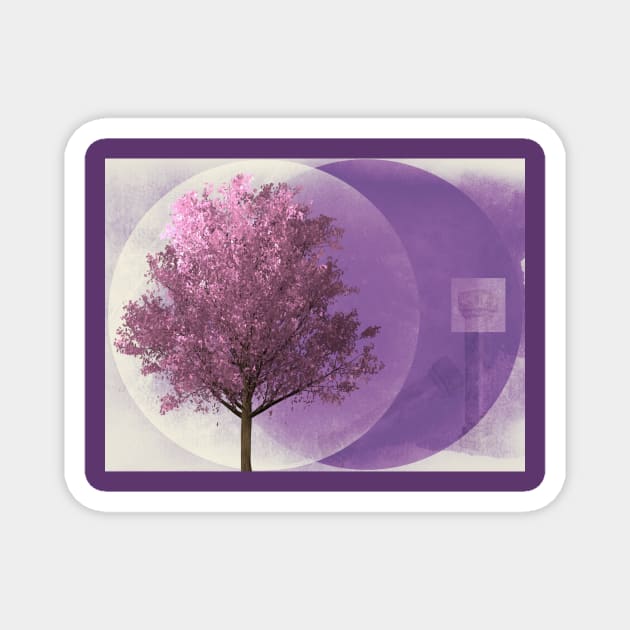 Lavender Moon Magnet by JimDeFazioPhotography