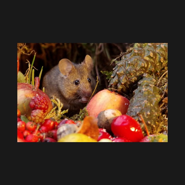 Wild  cute garden mouse by Simon-dell