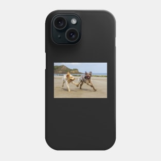 Playing on the beach Spinoni Phone Case