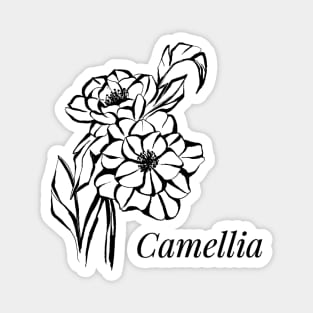 Camellia flowers Magnet