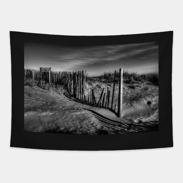 Dune Fence Tapestry by axp7884