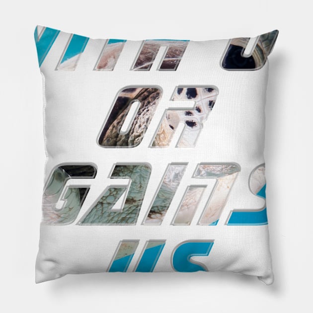 With Us Or Against Us Pillow by afternoontees