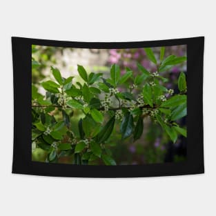 Green and White Blooms on a Branch Tapestry