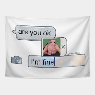 "I'm fine" Bingus Tapestry