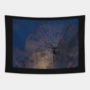 Spider admiring the Halloween moonrise Tapestry