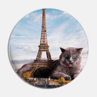 Eiffel Cat Pin