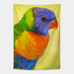 Rainbow Lorikeet Tapestry