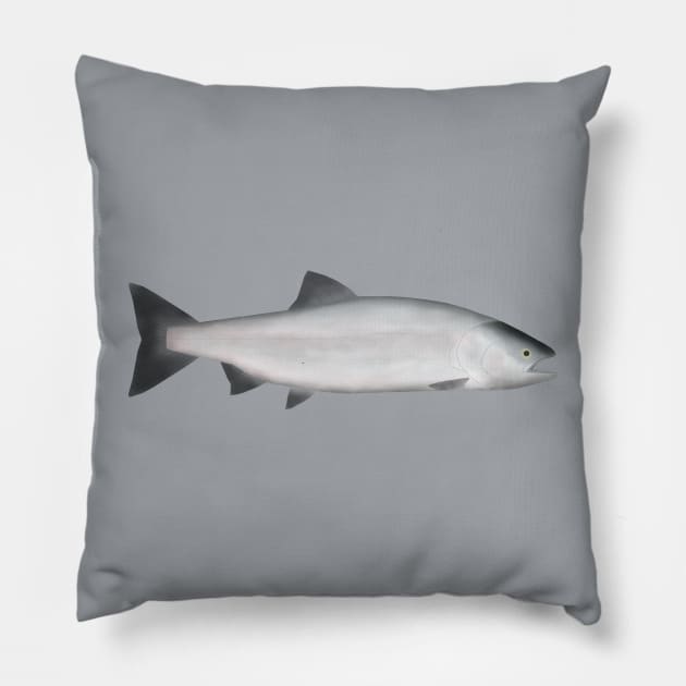 Pink Salmon - Ocean Phase Pillow by FishFolkArt