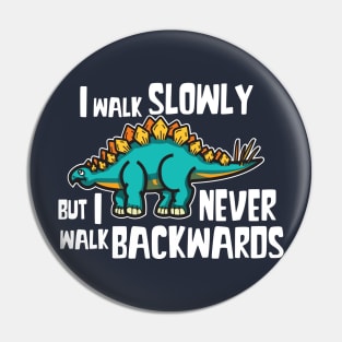 Stegosaurus Dinosaur Pin