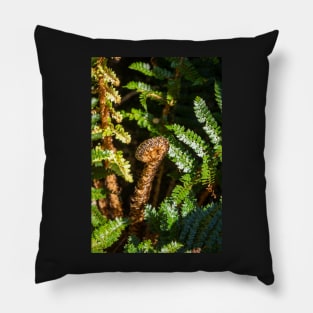 Koru Pillow