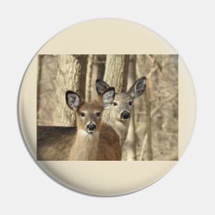 Whitetail deer, doe and babe, wildlife photography Pin