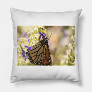 Monarch of Mexico Pillow