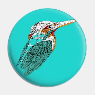 Kingfisher. Pin