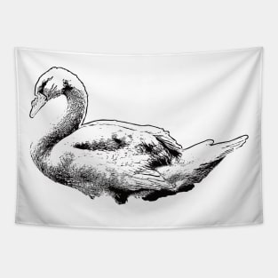 Black Swan drawing vintage Tapestry