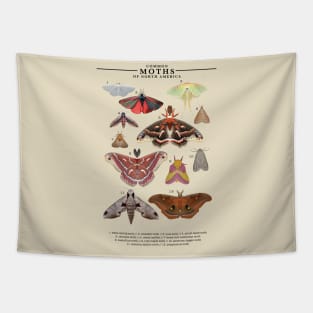 Moths of North America Tapestry