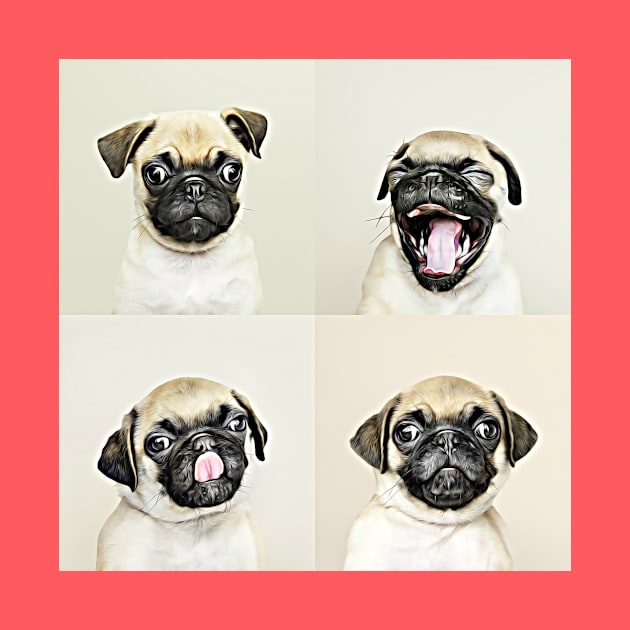 The Four Faces Of Pug by cameradog