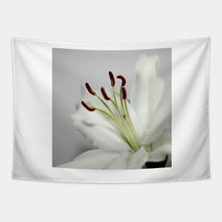 White Lily in Macro Tapestry