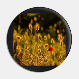 The poppy and the kittens Pin