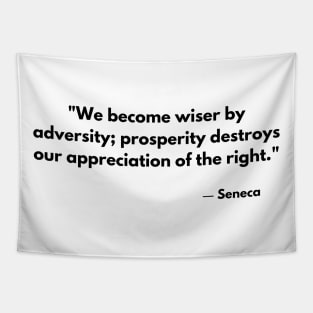 We become wiser by adversity; prosperity destroys our appreciation of the right. – Seneca Tapestry