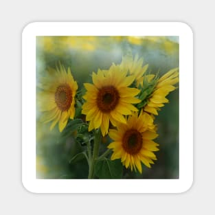 Be Radiant - Sunflowers Blooming  - Yellow Summer Botanical Flowers Magnet