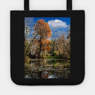 Pond, beautiful fall colors Tote