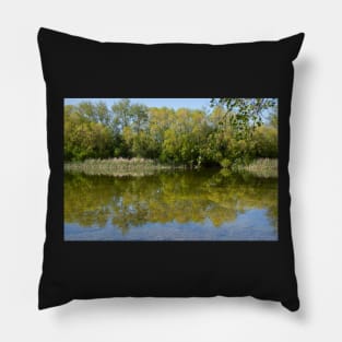 Patterson Pond Pillow