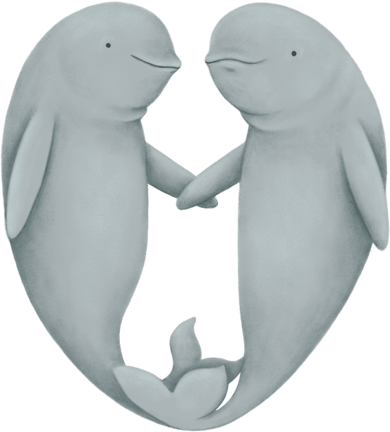 Beluga Love Kids T-Shirt by Sophie Corrigan