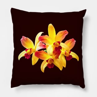 Yellow and Maroon Orchids Brassolaeliocattleya Laughing Boy Pillow